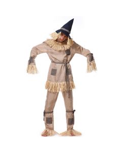 Men's Wizard of Oz scarecrow costume