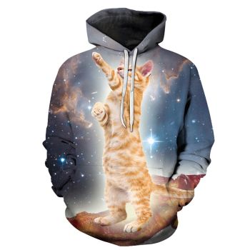 Fashion Blue Brown Cat Pattern Animals Hoodie