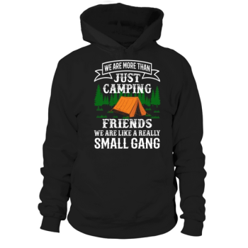 We are more than just camping friends, we are like a real little gang Hoodies