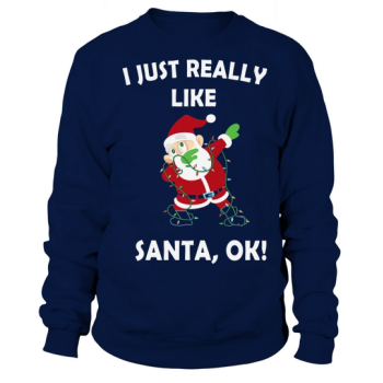 I Just Really Like Santa Christmas Sweatshirt