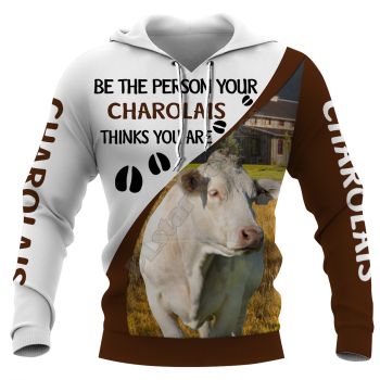 Pretty Brown White Horse Pattern Animals Hoodie