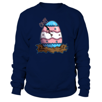 Cute Transgender Flag Pink+Blue Cracked Easter Egg Sweatshirt