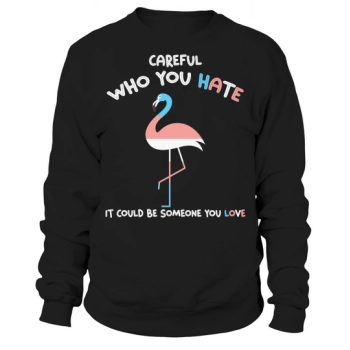 Be Careful Who You Hate Could Be Someone You Love Sweatshirt