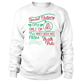 Special delivery only open on 25 Dec for who s been nice from the North Pole Sweatshirt