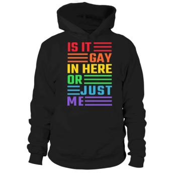 Is it gay in here or just me Hoodies