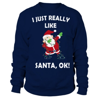 I Just Really Like Santa Christmas Sweatshirt