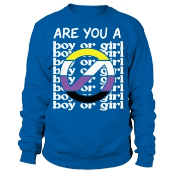 Nonbinary Pride Flag Are You Boy Or Girl Sweatshirt