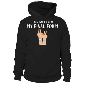 This Is Not Even My Final Form Hoodies