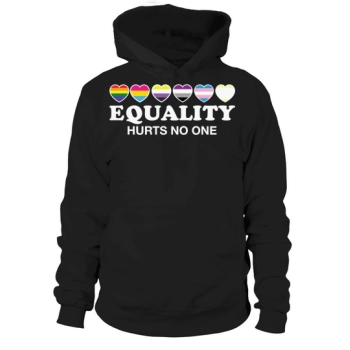 Equality Hurts No One LGBT Hoodies