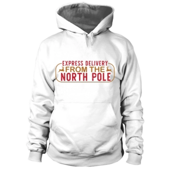 Express Delivery from the North Pole Hoodies