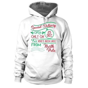 Special delivery only open on 25 Dec for who s been nice from the North Pole Hoodies