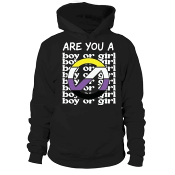 Nonbinary Pride Flag Are You Boy Or Girl Hoodies