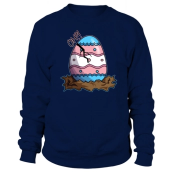 Cute Transgender Flag Pink+Blue Cracked Easter Egg Sweatshirt